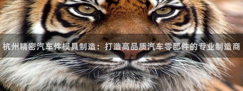 彩神vl购彩大厅：杭州精密汽车件模具制造：打造高品质汽车零部件的专业制造商