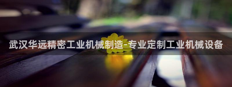 彩神网合法吗：武汉华远精密工业机械制造-专业定制工业机械设备