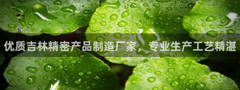 彩神vii手游下载：优质吉林精密产品制造厂家，专业生产工艺精湛