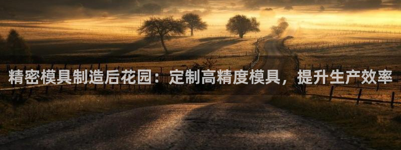 彩神v8手机客户端在哪：精密模具制造后花园：定制高精度模具，提升生产效率
