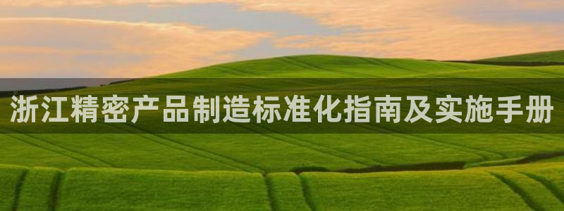 彩神vl购彩大厅：浙江精密产品制造标准化指南及实施手册