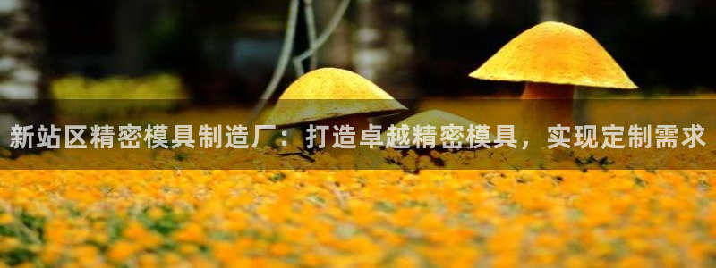 彩神vip购彩大厅：新站区精密模具制造厂：打造卓越精密模具，实现定制需求