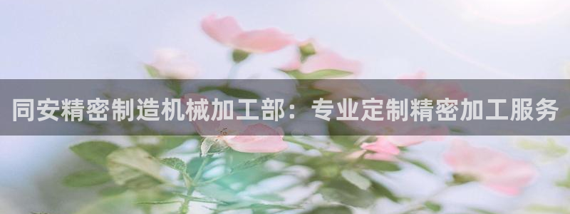 彩神vip购彩