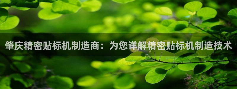 彩神v|：肇庆精密贴标机制造商：为您详解精密贴标机制造技术