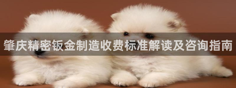 彩神v8是一个什么平台游戏：肇庆精密钣金制造收费标准解读及咨询指南