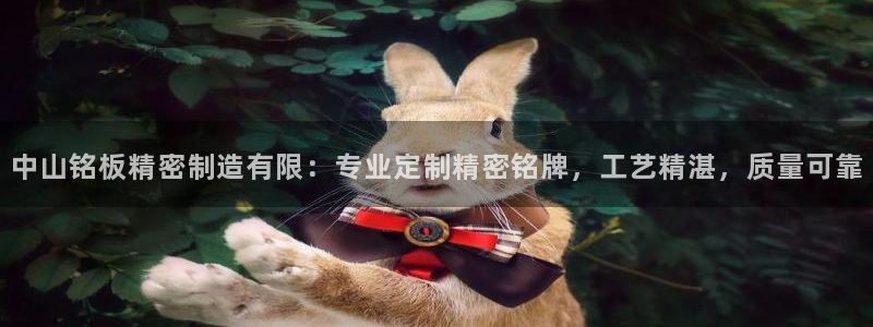 彩神网能赚钱是怎么回事：中山铭板精密制造有限：专业定制精密铭牌，工艺精湛，质量可靠