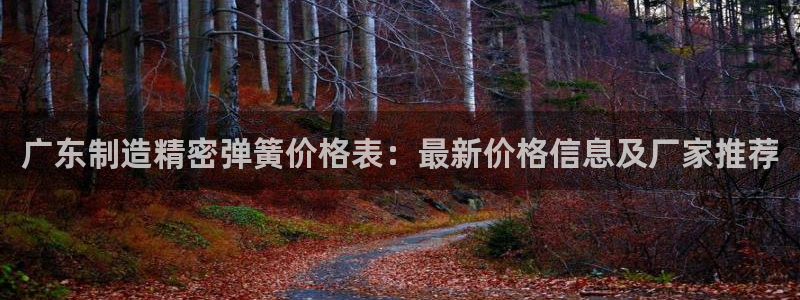 彩神v8下载：广东制造精密弹簧价格表：最新价格信息及厂家推荐