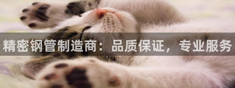 彩神购彩-购彩大厅入口36fr：精密钢管制造商：品质保证，专业服务