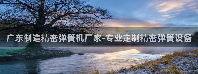 彩神8彩平台客服：广东制造精密弹簧机厂家-专业定制精密弹簧设备