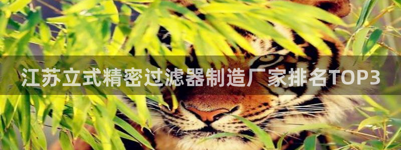 彩神平台可以破解吗：江苏立式精密过滤器制造厂家排名TOP3