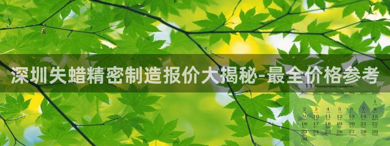 彩神VI首页：深圳失蜡精密制造报价大揭秘-最全价格参考