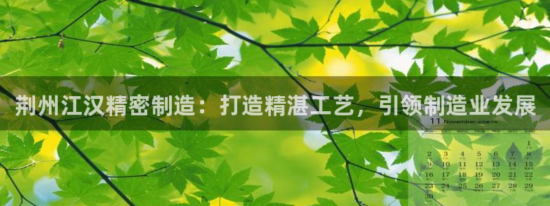 彩神v8是一个什么平台：荆州江汉精密制造：打造精湛工艺，引领制造业发展