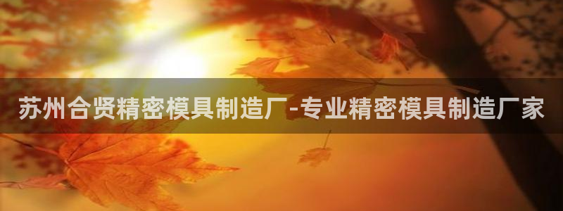 新版彩神v8登录不上去：苏州合贤精密模具制造厂-专业精密模具制造厂家