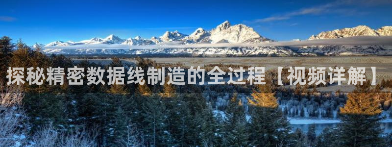 彩神iv争霸购彩大厅：探秘精密数据线制造的全过程【视频详解】