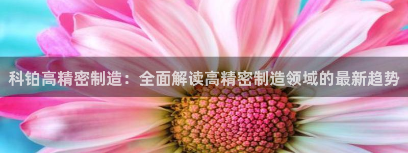 所有彩神购买首页中心：科铂高精密制造：全面解读高精密制造领域的最新趋势
