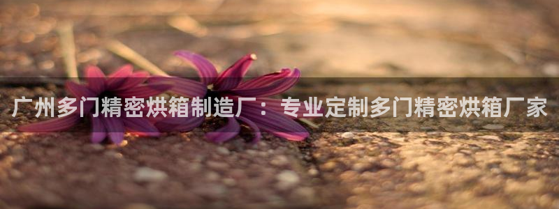 彩神系列平台：广州多门精密烘箱制造厂：专业定制多门精密烘箱厂家