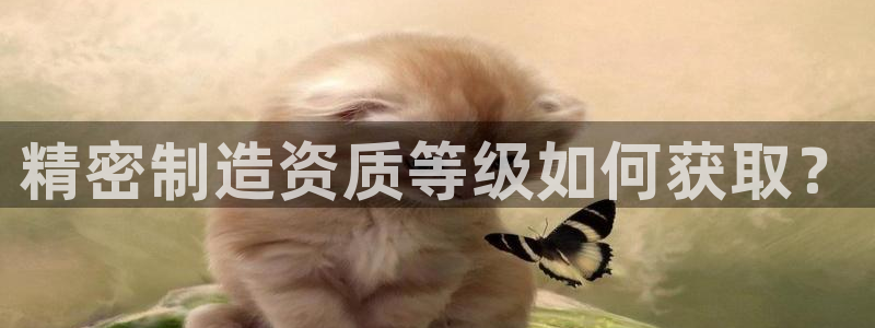彩神平台是真的吗：精密制造资质等级如何获取？