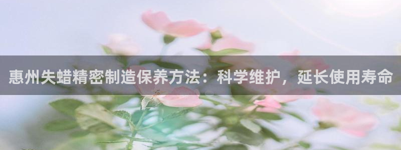 彩神vl购彩大厅：惠州失蜡精密制造保养方法：科学维护，延长使用寿命