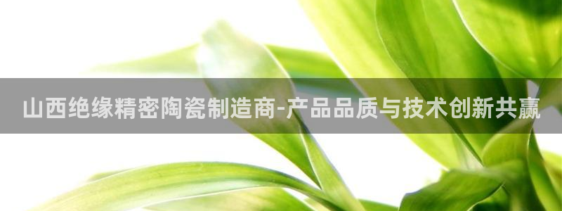彩神v8下载：山西绝缘精密陶瓷制造商-产品品质与技术创新共赢