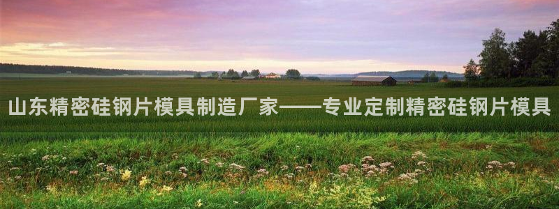 彩神平台是什么套路：山东精密硅钢片模具制造厂家——专业定制精密硅钢片模具