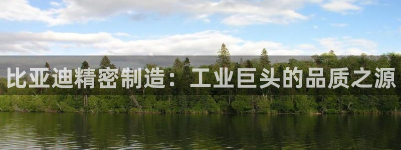 彩神V8平台：比亚迪精密制造：工业巨头的品质之源