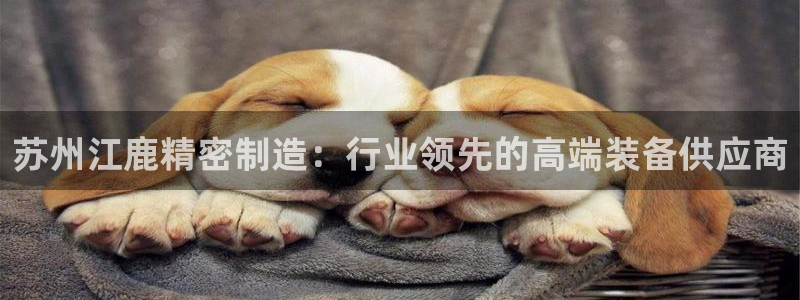 新版彩神v8登录不了：苏州江鹿精密制造：行业领先的高端装备供应商