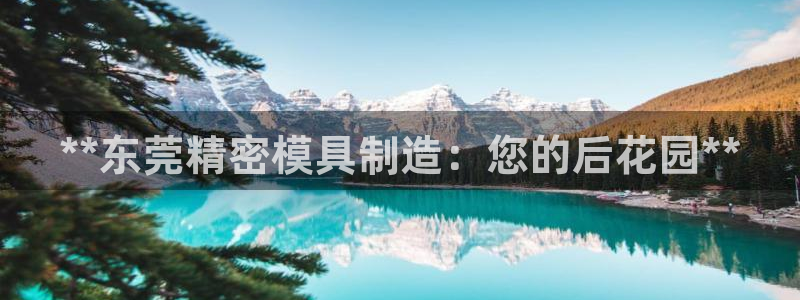 彩神vllⅰ购彩大厅：**东莞精密模具制造：您的后花园**