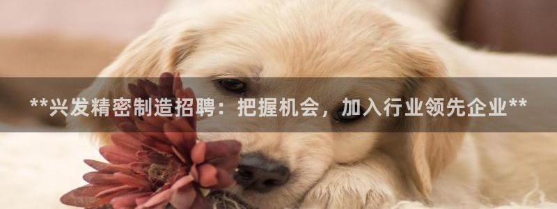 彩神ix官网是哪个公司的：**兴发精密制造招聘：把握机会，加入行业领先企业**