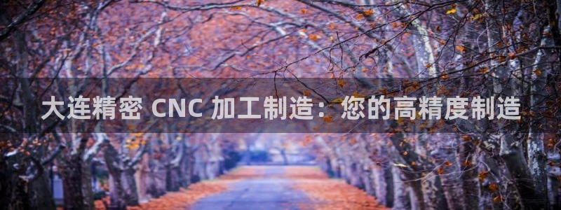 彩神V8有限公司：大连精密 CNC 加工制造：您的高精度制造