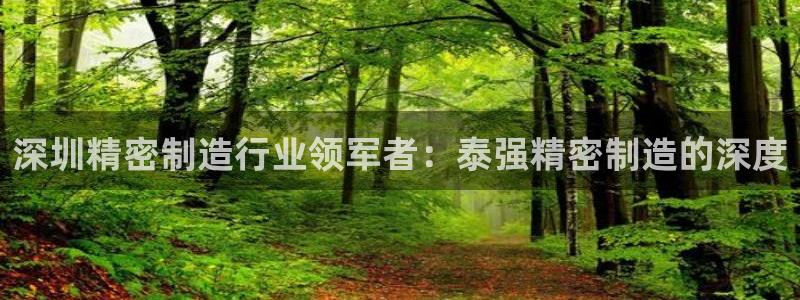 彩神旗下有哪些平台可以看：深圳精密制造行业领军者：泰强精密制造的深度