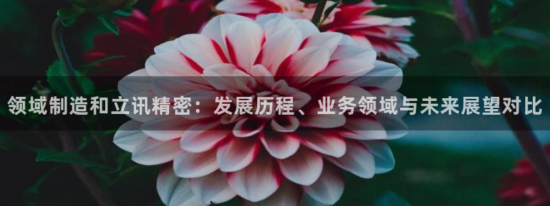 彩神vip购彩：领域制造和立讯精密：发展历程、业务领域与未来展望对比