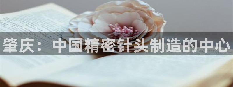 彩神平台：肇庆：中国精密针头制造的中心