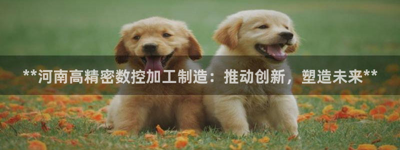 彩神v平台：**河南高精密数控加工制造：推动创新，塑造未来**