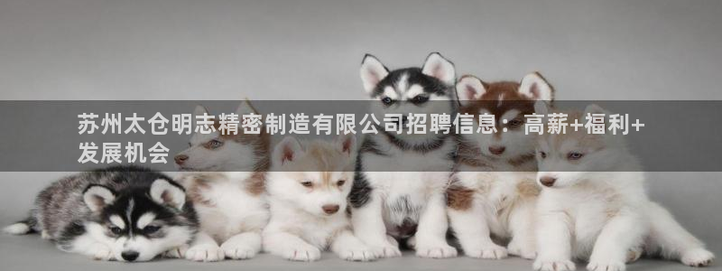 彩神8软件下载：苏州太仓明志精密制造有限公司招聘信息：高薪+福利+
发展机会