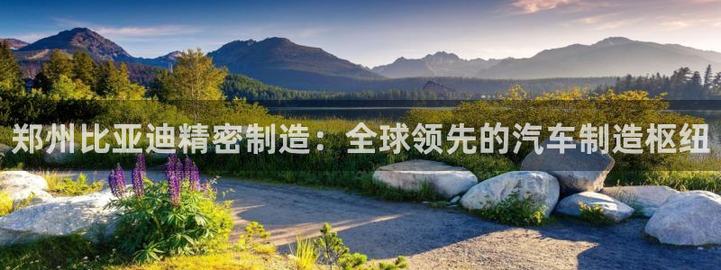 彩神vip购彩大厅：郑州比亚迪精密制造：全球领先的汽车制造枢纽