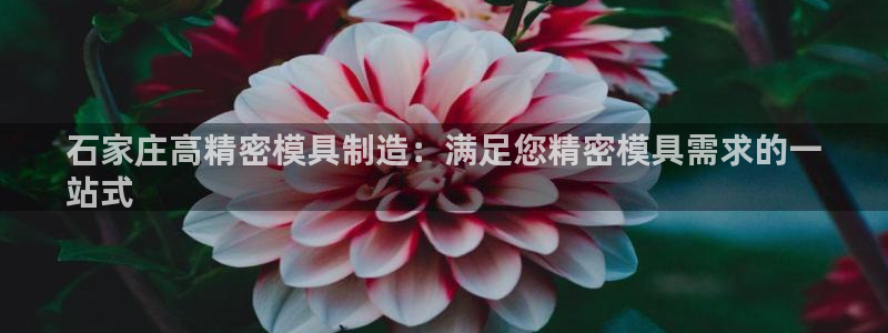 彩神VII购彩中心：石家庄高精密模具制造：满足您精密模具需求的一
站式