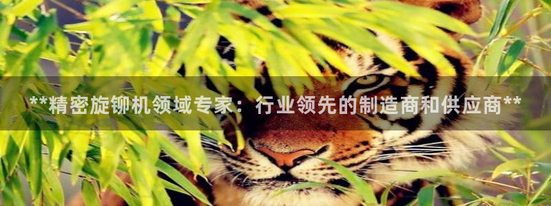 彩神v争霸有限公司：**精密旋铆机领域专家：行业领先的制造商和供应商**