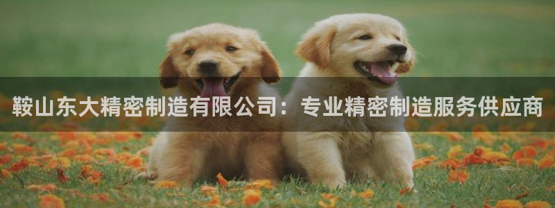 彩神的邀请码是多少：鞍山东大精密制造有限公司：专业精密制造服务供应商