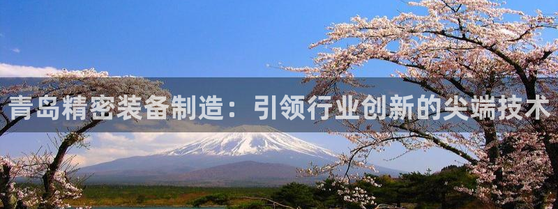 彩神赢钱了吗：青岛精密装备制造：引领行业创新的尖端技术