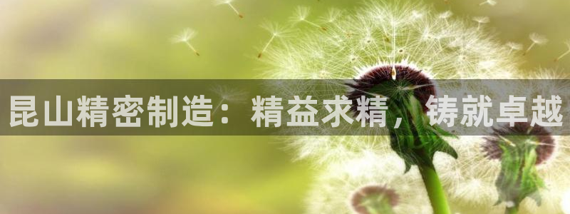 彩神购彩-购彩大厅入口计划群：昆山精密制造：精益求精，铸就卓越