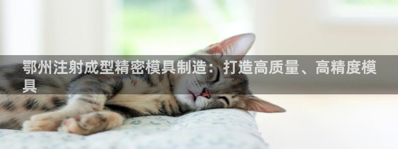 彩神iv是正规平台吗?：鄂州注射成型精密模具制造：打造高质量、高精度模
具