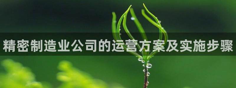彩神Vll购彩大厅：精密制造业公司的运营方案及实施步骤