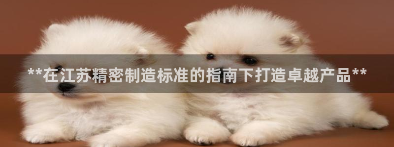 彩神V8平台：**在江苏精密制造标准的指南下打造卓越产品**
