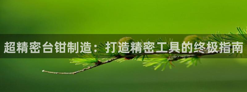 彩神通官方网：超精密台钳制造：打造精密工具的终极指南