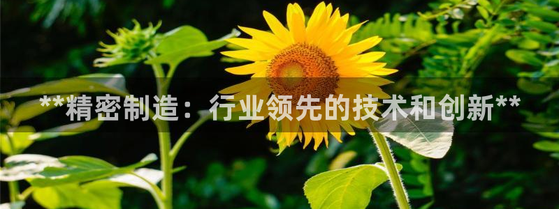 彩神平台：**精密制造：行业领先的技术和创新**