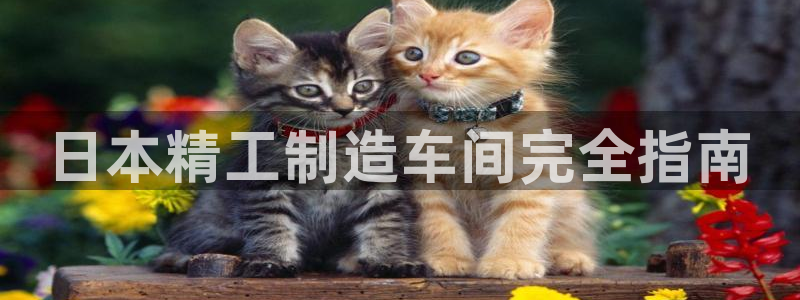 彩神的邀请码是多少：日本精工制造车间完全指南