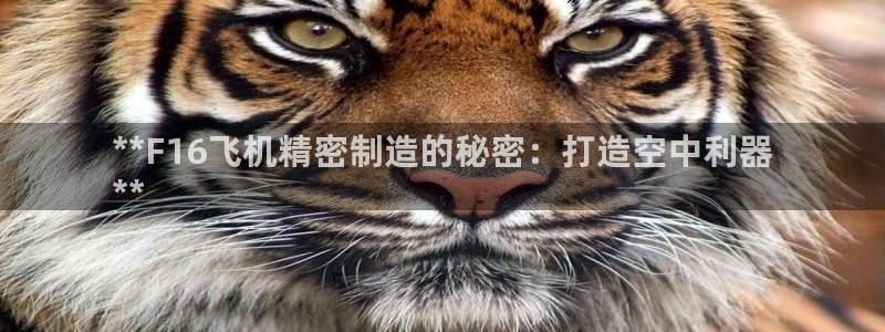 彩神到底能不能赚钱：**F16飞机精密制造的秘密：打造空中利器
**