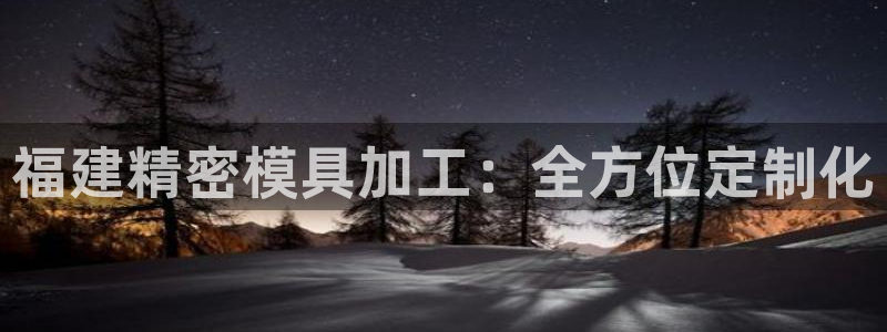 彩神Vll购彩大厅：福建精密模具加工：全方位定制化