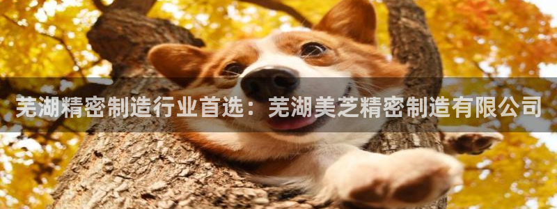 大发彩神官网下载：芜湖精密制造行业首选：芜湖美芝精密制造有限公司