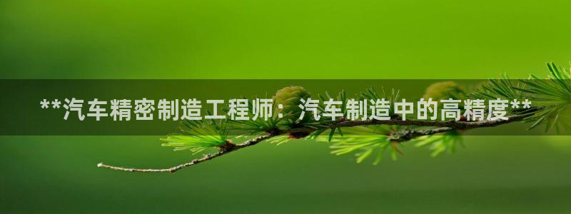 彩神通关注码金码对应码：**汽车精密制造工程师：汽车制造中的高精度**